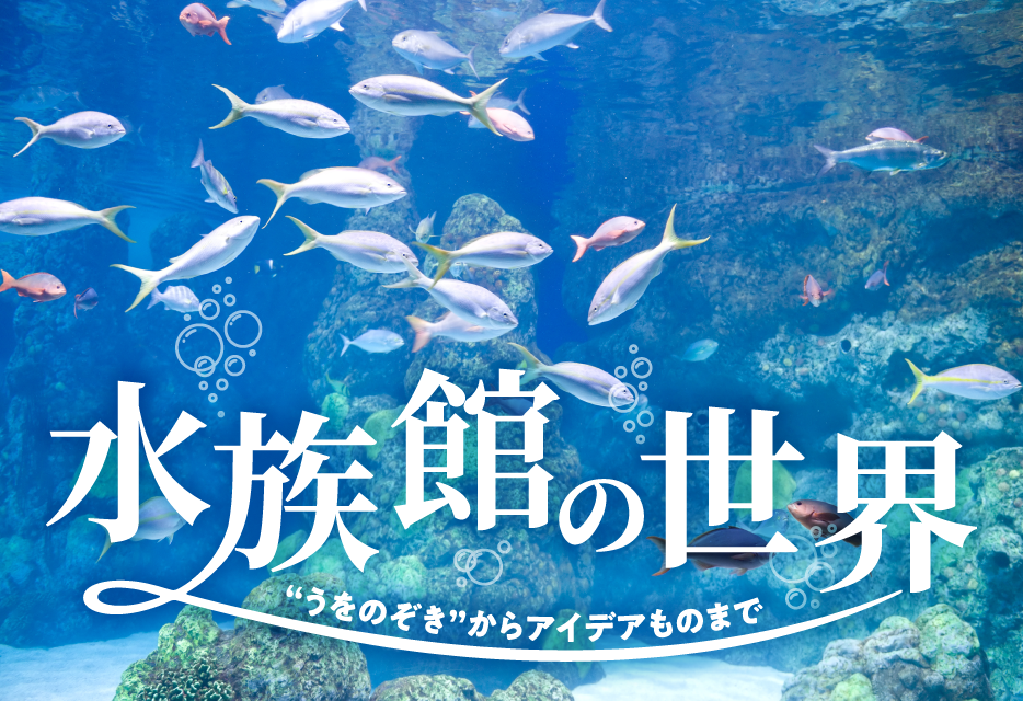 日本の水族館の世界