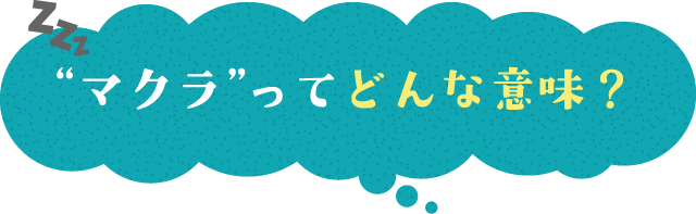 “マクラ”ってどんな意味？