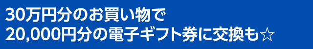 30万円分のお買い物で 20,000円分の電子ギフト券に交換も☆