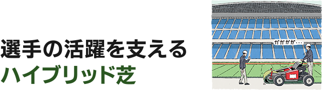 選手の活躍を支えるハイブリッド芝