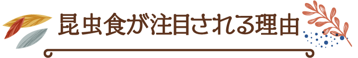 昆虫食が注目される理由