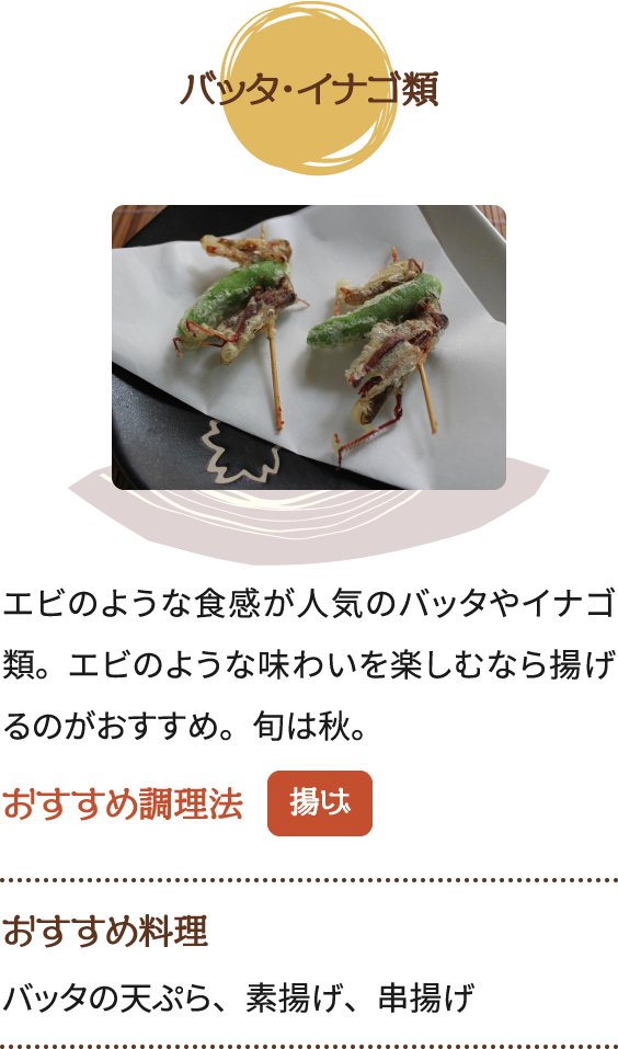 バッタ・イナゴ類