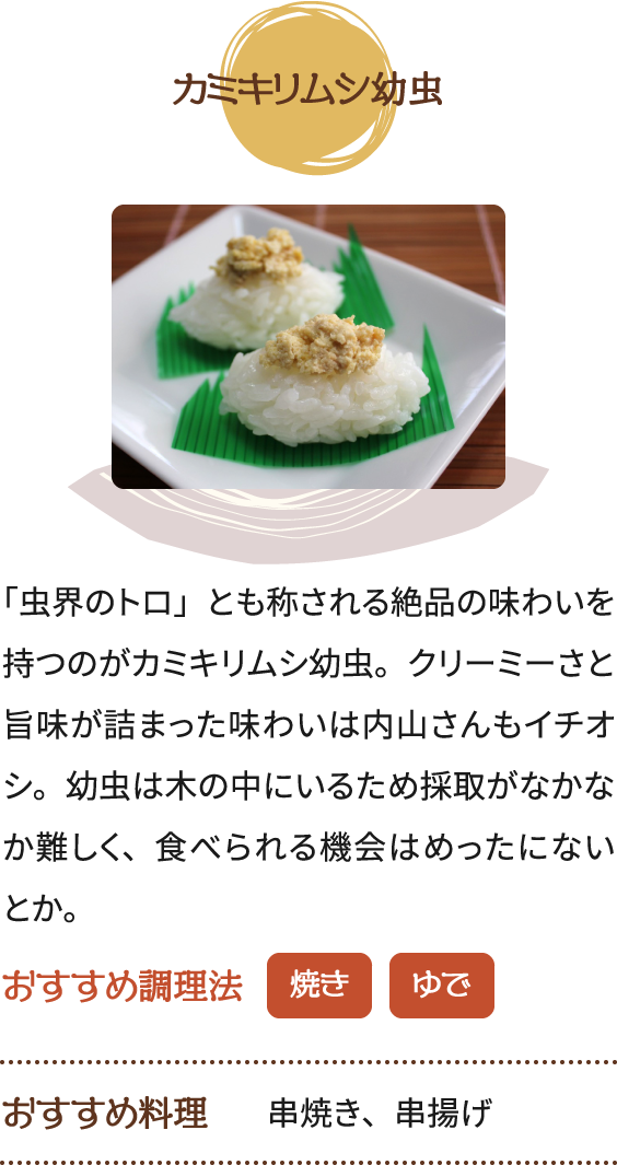 カミキリムシ幼虫