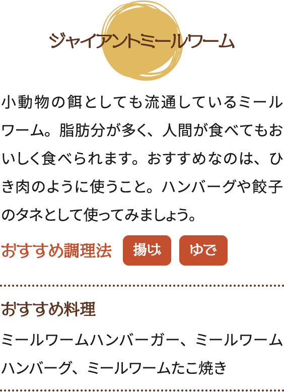 ジャイアントミールワーム