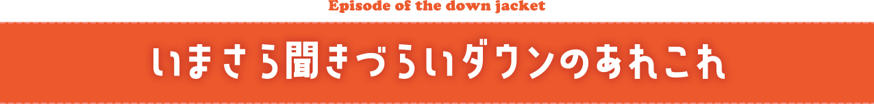 いまさら聞きづらいダウンのあれこれ