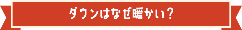 ダウンはなぜ暖かい？