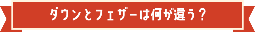 ダウンとフェザーは何が違う？