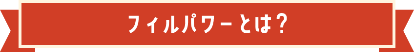 フィルパワーとは？