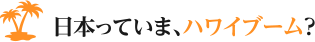 日本っていま、ハワイブーム？