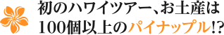 初のハワイツアー、お土産は100個以上のパイナップル!?