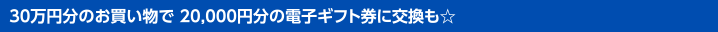 30万円分のお買い物で 20,000円分の電子ギフト券に交換も☆